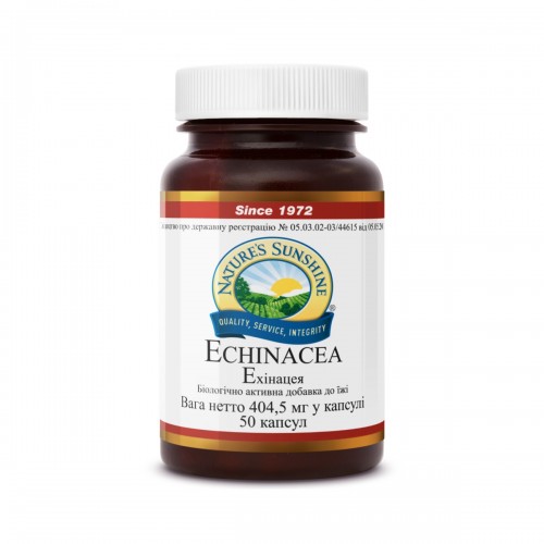 Echinacea (-40%)