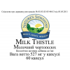 Milk Thistle photo 3