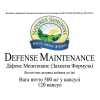 Defense Maintenance (-20%) photo 4