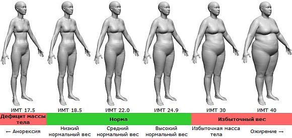 масса тела женщин