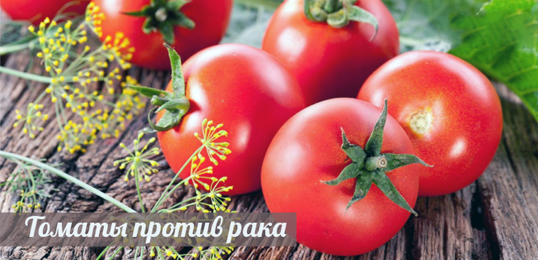томаты против рака