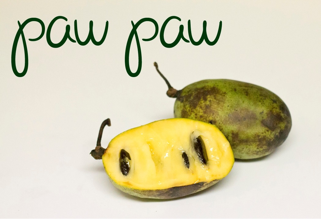 Paw Paw Cell Reg